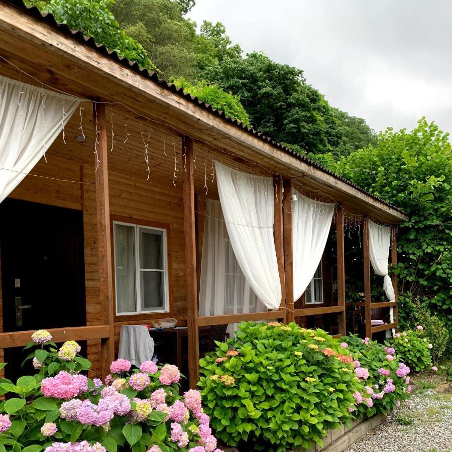 Guest House Ahan Gagra Exteriér fotografie