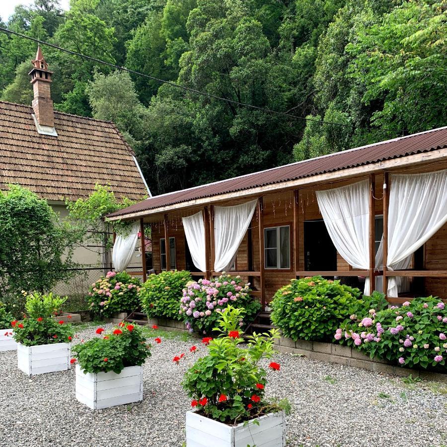 Guest House Ahan Gagra Exteriér fotografie